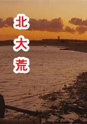 示范性销售